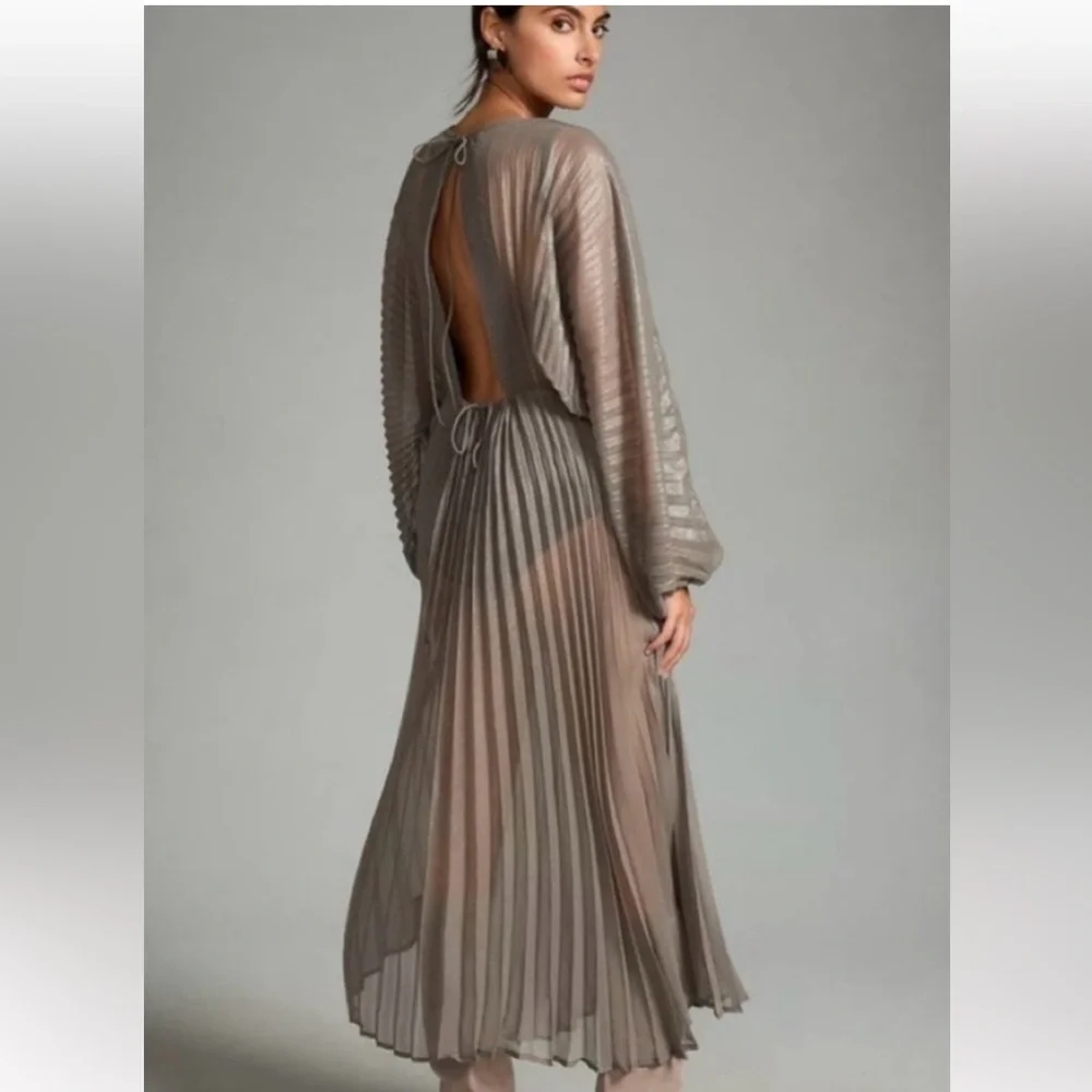 Anthropologie Sheer Pleated Taupe Maxi Dress - Picture 2 of 9